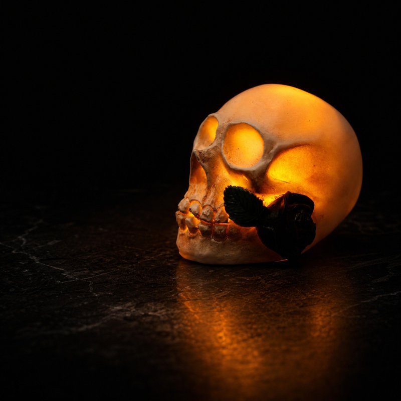 Halloween Skull Rose Lamp - Gothic Resin Nightlight with Warm Glow - Variation #359A