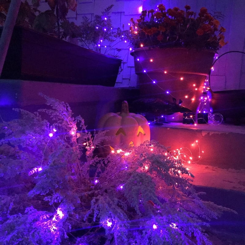 Purple Solar Fairy String Lights 33ft 100 LED Outdoor Waterproof 2 Pack with 8 Modes, Silver Wire for Garden Patio Halloween Christmas