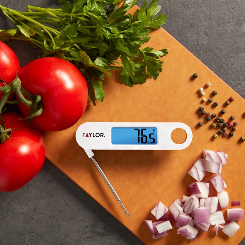 Stainless Steel Digital Folding Probe Meat Thermometer - White