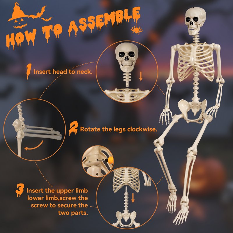 5.4 Ft Life-Size Poseable Halloween Skeleton Decoration Indoor Outdoor