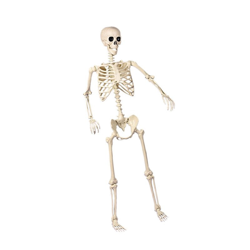 Life-Size Poseable Halloween Skeleton with Flexible Joints - L Variation Indoor/Outdoor Decor