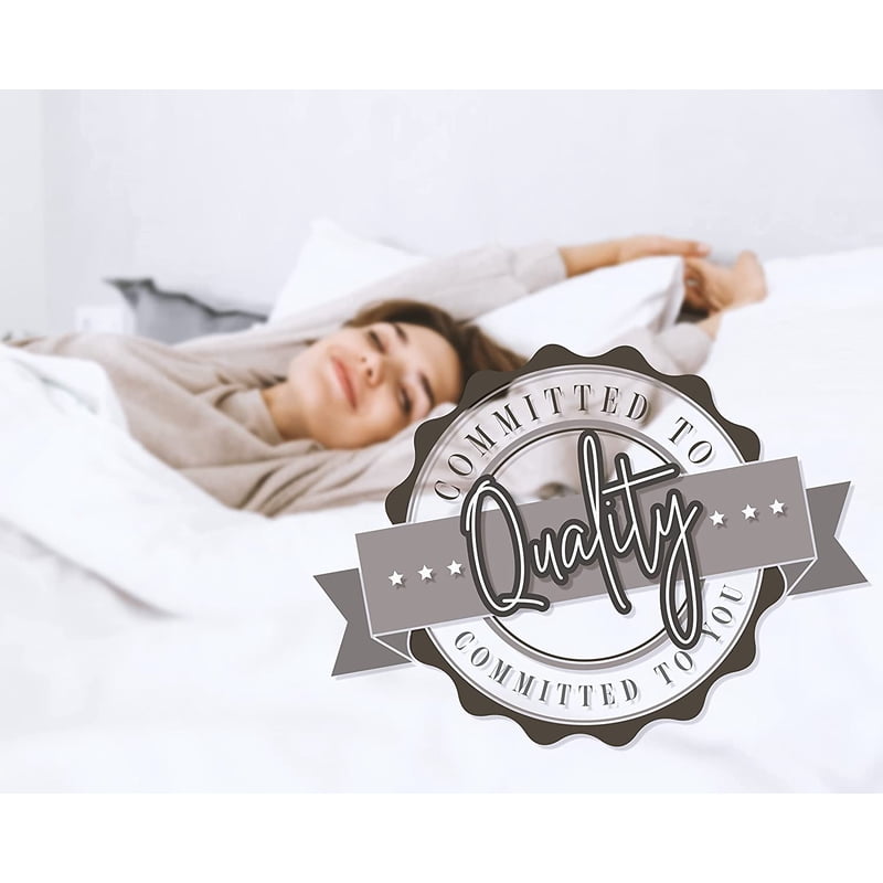 Queen Reversible Down Alternative Micro Suede Comforter Set Brown