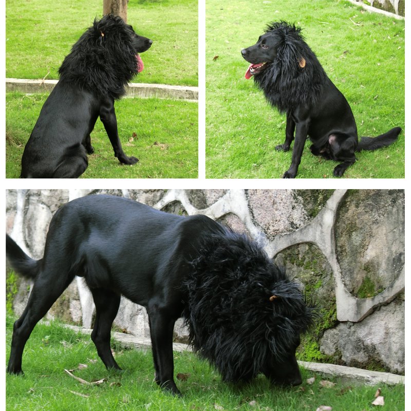 Lion Mane Wig for Dogs - Large Black Pet Costume Accessory, Halloween Fancy Dress (Variation: Black, L)