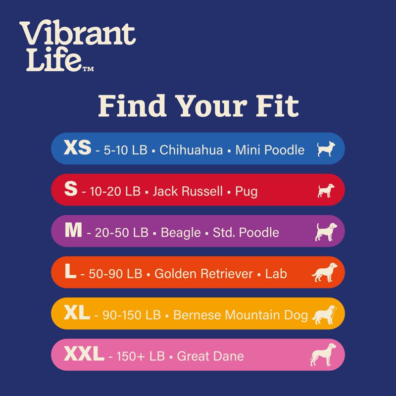 Medium Dog Halloween Costume Walmart Delivery Driver M - Vibrant Life