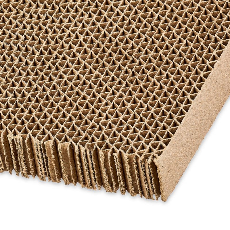 Halloween Cat Scratcher Paper Bag with Catnip - Multicolor