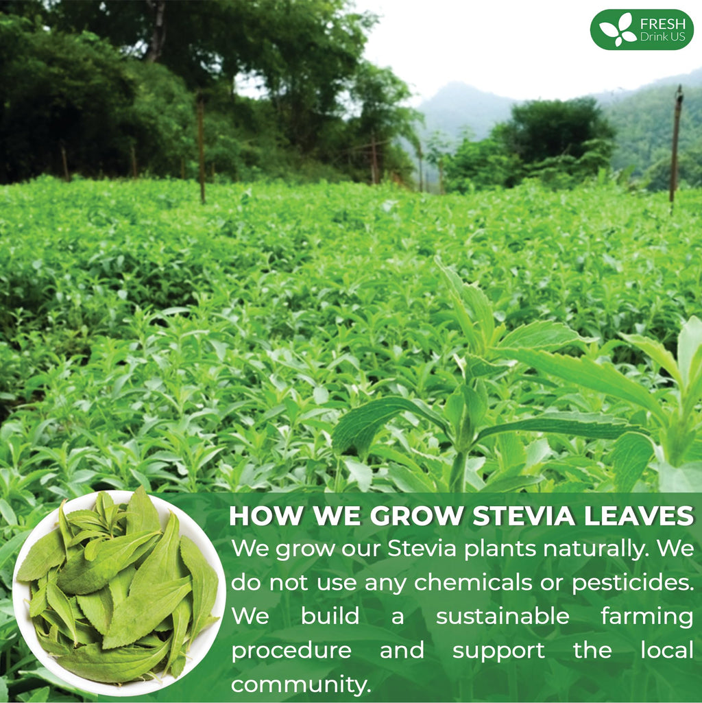 FreshDrinkUS, Premium 2.1oz Natural Stevia Leaves, 100% Pure Stevia Dried Leaves, Zero Calorie Sweetener, No Additives, No Caffeine, Vegan