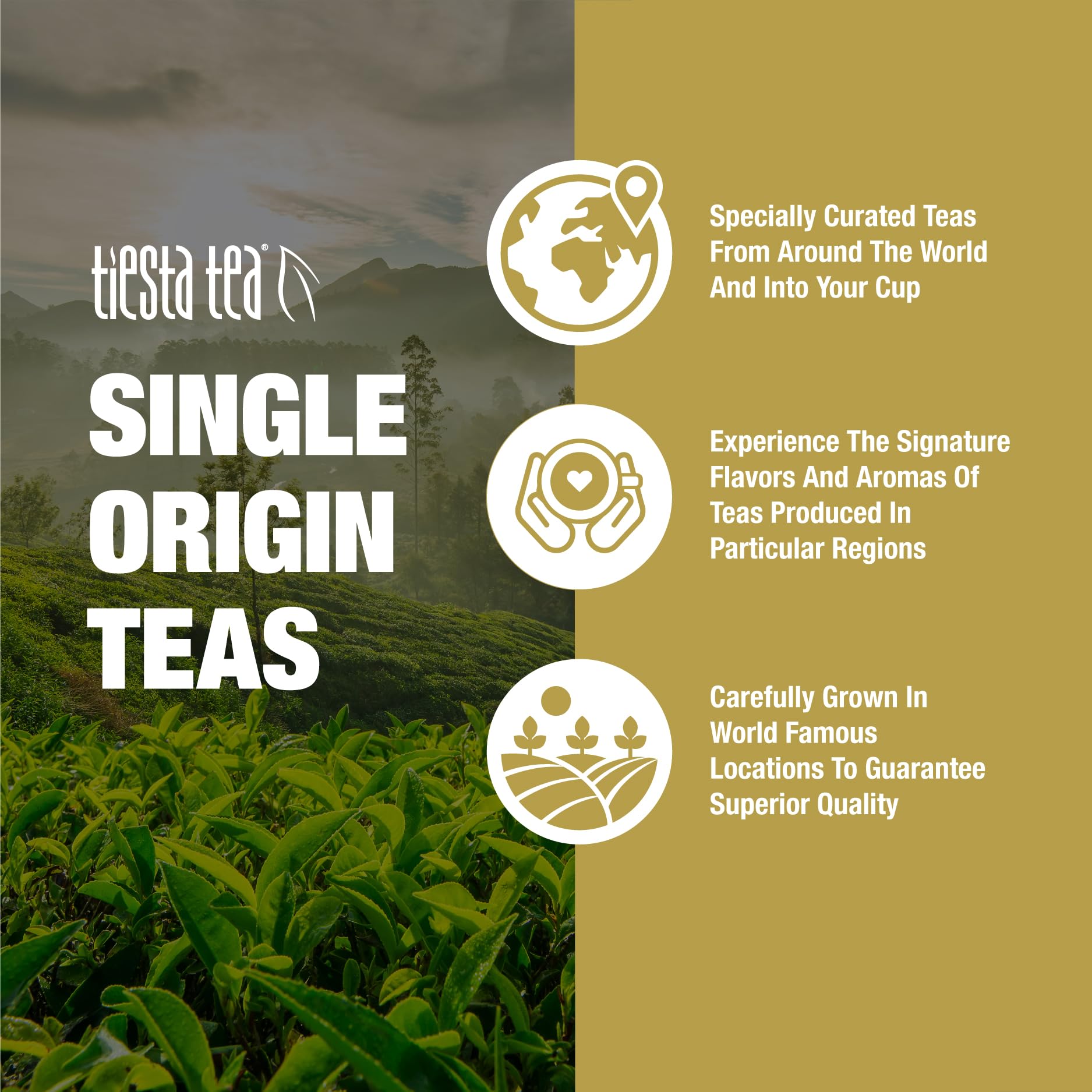 Tiesta Tea - Jasmine Pearls Green Tea, Loose Leaf, Single Origin Premium Jasmine from China, Medium Caffeinated, Makes Hot or Iced & Up to 50 Cups, 100% Pure Unblended, 5oz Refillable Tin