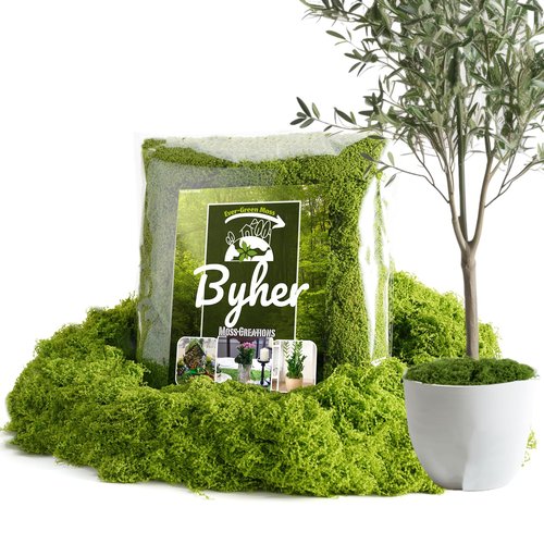 BYHER Fake Moss for Plants Indoor, 7OZ Value Pack - Artificial Grass for Crafts, Floral Arrangements & Potted Plants, Natural Moss Alternative for Terrariums, Fairy Gardens (Light Green)