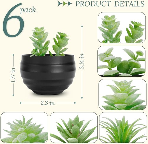 Der Rose Set of 6 Artificial Succulent Plants in Pots - Perfect for Halloween & Home Decor