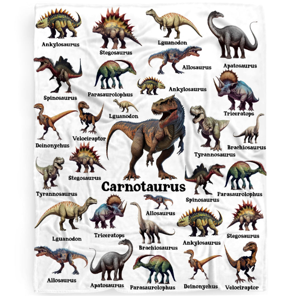 Dinosaur Blanket Gifts for Boys, Jurassic Dino Throw Blanket Gifts for Baby Girls Decor Animal Wild Plush Soft Lightweight Flannel Fleece Dinosaurs Blankets Sheet for Nursery Stroller Toddler 40x30In
