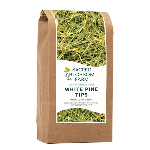 White Pine Needle Tea, Wild-Harvested in Wisconsin | 6.0 oz | 85 Servings | Loose Leaf | Herbal Tea & Medicinal Herbs | Regenerative Farming | Single Source | Pinus strobus