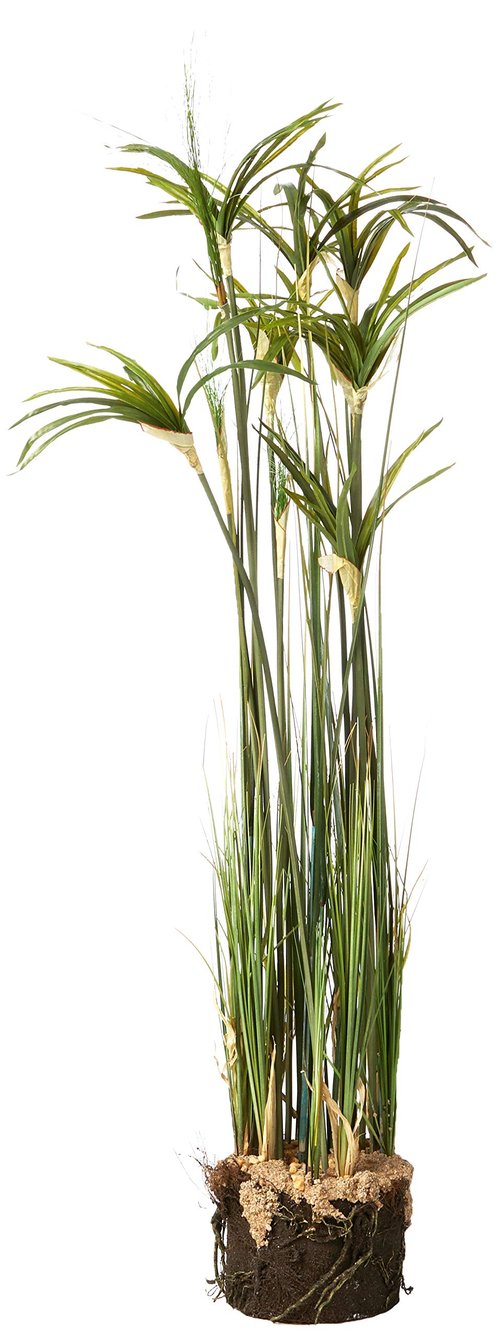 Nearly Natural Papyrus Plant with Faux Soil Arrangement