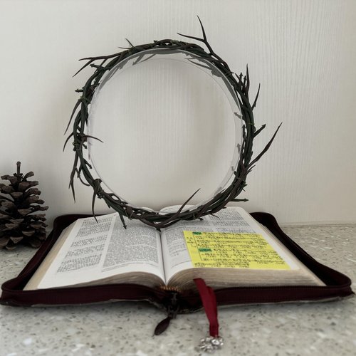 Brown Crown of Thorns 8-10" Diameter Passion of Christ Crown of Thorns Easter Tree Decorations Ornament mini Church for Sanctuary Prop Corona de espinas de Jesus(8-New)