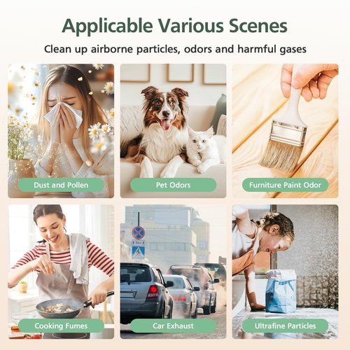 BP03 BP04 BP06 Activated Carbon Filter Compatible with Dyson Purifier Big + Quiet, For Models BP03, BP04, BP06, High-Efficient Carbon Filter for Smoke, Pet Odors, Wildfire, VOCs, Park# 972133-02/03