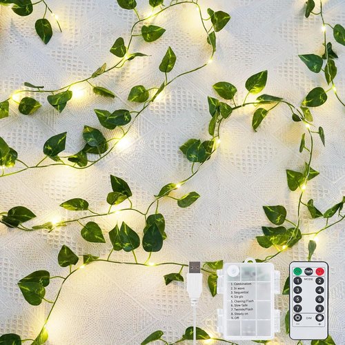 KASZOO 33ft 100 LED Fairy Lights - Battery/USB Operated Pothos String Lights with Remote for Bedroom & Garden Decor