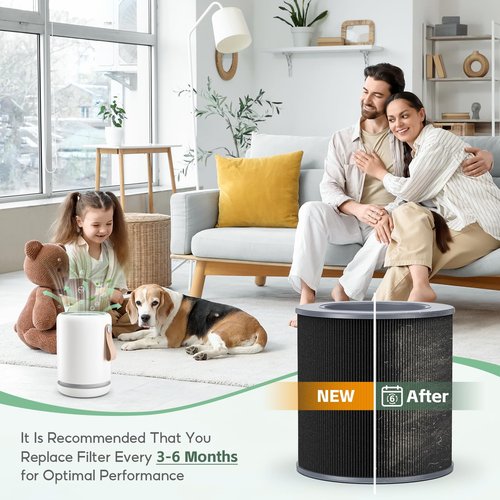 2-pack Air Mini/Mini+ PECO-HEPA Replacement filter, Compatible with Molekule Air Mini Air Purifiers, Pre Filter+True H13 HEPA+Activated Caebon Filter 3 Stages High-Efficiency Filtration