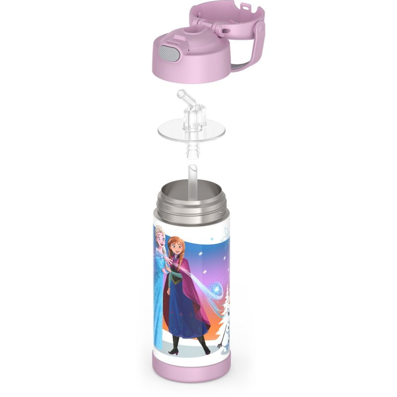 Kids Stainless Steel Funtainer Water Bottle with Straw - Frozen, 2 Pack