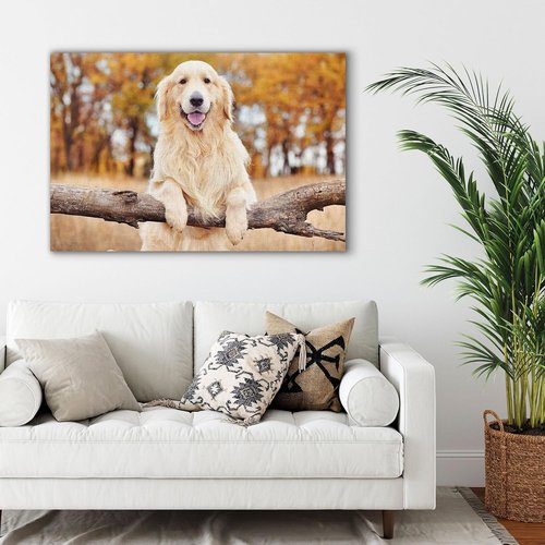 Custom Canvas Prints - Personalized Photo Wall Art for Family, Pets & Couples | 18x12