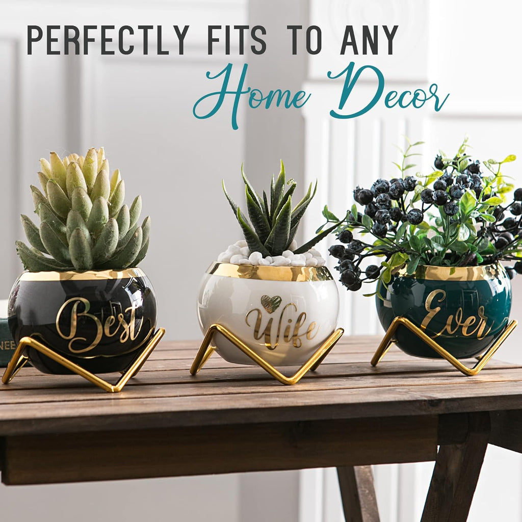 PeraBella 3-Piece Succulent Planter Set - Perfect Romantic Gift for Her | Home Decor for Any Occasion