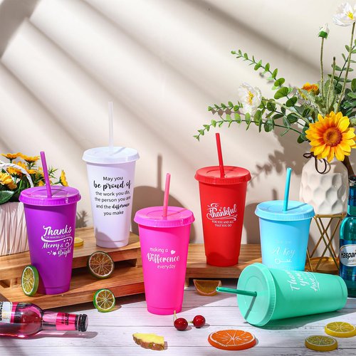 Skylety 96 Pcs Employee Appreciation Gifts Bulk 24 oz Plastic Tumbler with Lid Straw Social Worker Gift Plastic Cup Thank You Gift for Coworker Volunteer Staff Teacher Office Team (Cute Color)