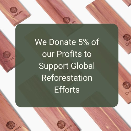 Ceddera Essential Cedar Bundle | Natural Cedar Blocks for Clothes Storage | Eco Friendly Cedarwood for Closets | Moth Ball Alternative | 58 Total Pieces - 8 Hang Ups, 24 Rings, 24 Balls & 2 Sachets
