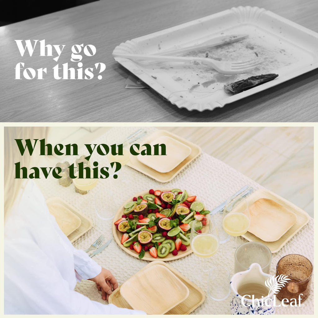 Chic Leaf Palm Leaf Serving Trays - 10x14 in, 10 Pack, Compostable