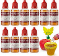 Skiennix Fruit Fly Trap Refill - 10 Pack, 0.68oz Bottles | Non-Toxic Gnat Catcher for Home Use