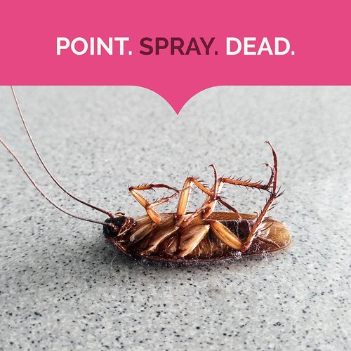 Hot Shot Ant, Roach & Spider Killer - Fast-Acting Insecticide Spray | 17.5 Ounces, Twin Pack