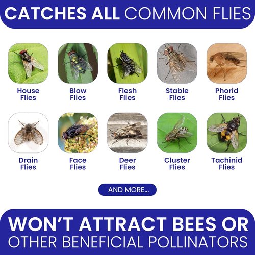 2 Fly Traps Outdoor - Non-Toxic Dissolvable Bait Refills | Reusable Hanging Bug Catcher for Patio