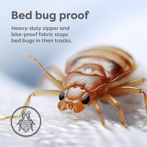 HOSPITOLOGY PRODUCTS Mattress Encasement - Hypoallergenic Bed Bug & Dust Mite Proof - Queen Size - Waterproof & Stretchable