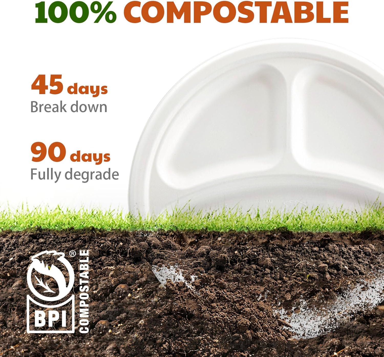 Regine Switzerland Compostable 3-Compartment Paper Plates - Heavy Duty Biodegradable Lunch Trays | 10 Inch, 125 Count