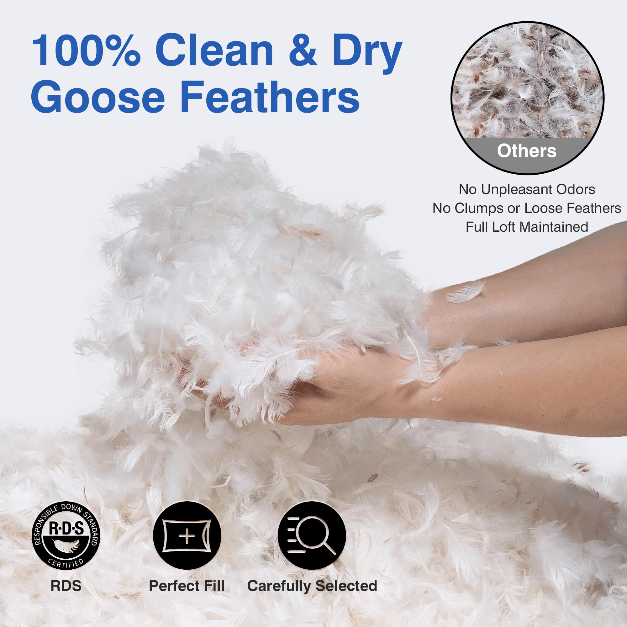 zibroges Ultra Soft Goose Feather Pillows Queen Size Set of 2 - Hotel Bed Pillow for Sleeping, (Down Fiber) Fluffy Support Surround Fill Polyester for Back, Stomach, Side Sleepers (Soft)