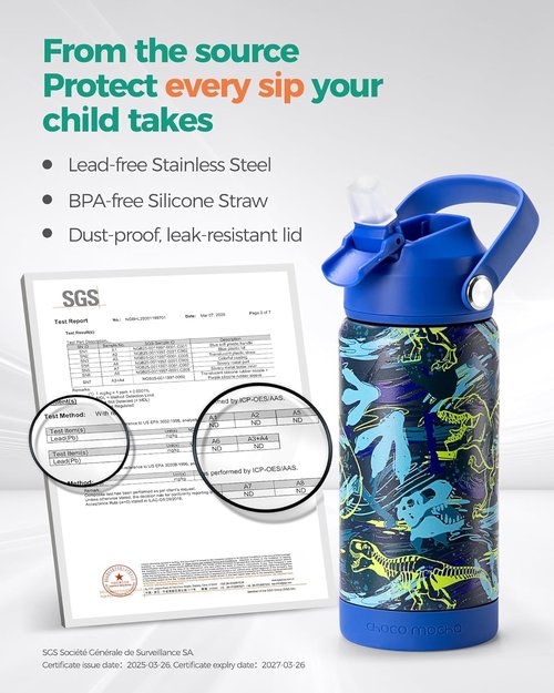 Choco Mocha Kids Insulated Water Bottle - Stainless Steel, 14Oz, Monster Truck Design