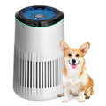 MERONTE Air Purifiers for Home, Air Purifier for Smoke Odors with Fragrance Sponge, Small Air Purifier with Sleep Mode for Bedroom Office, Blue Night Light, White, 1 Pack+3 Modes