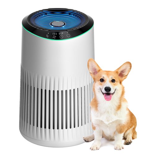 MERONTE Air Purifiers for Home, Air Purifier for Smoke Odors with Fragrance Sponge, Small Air Purifier with Sleep Mode for Bedroom Office, Blue Night Light, White, 1 Pack+3 Modes