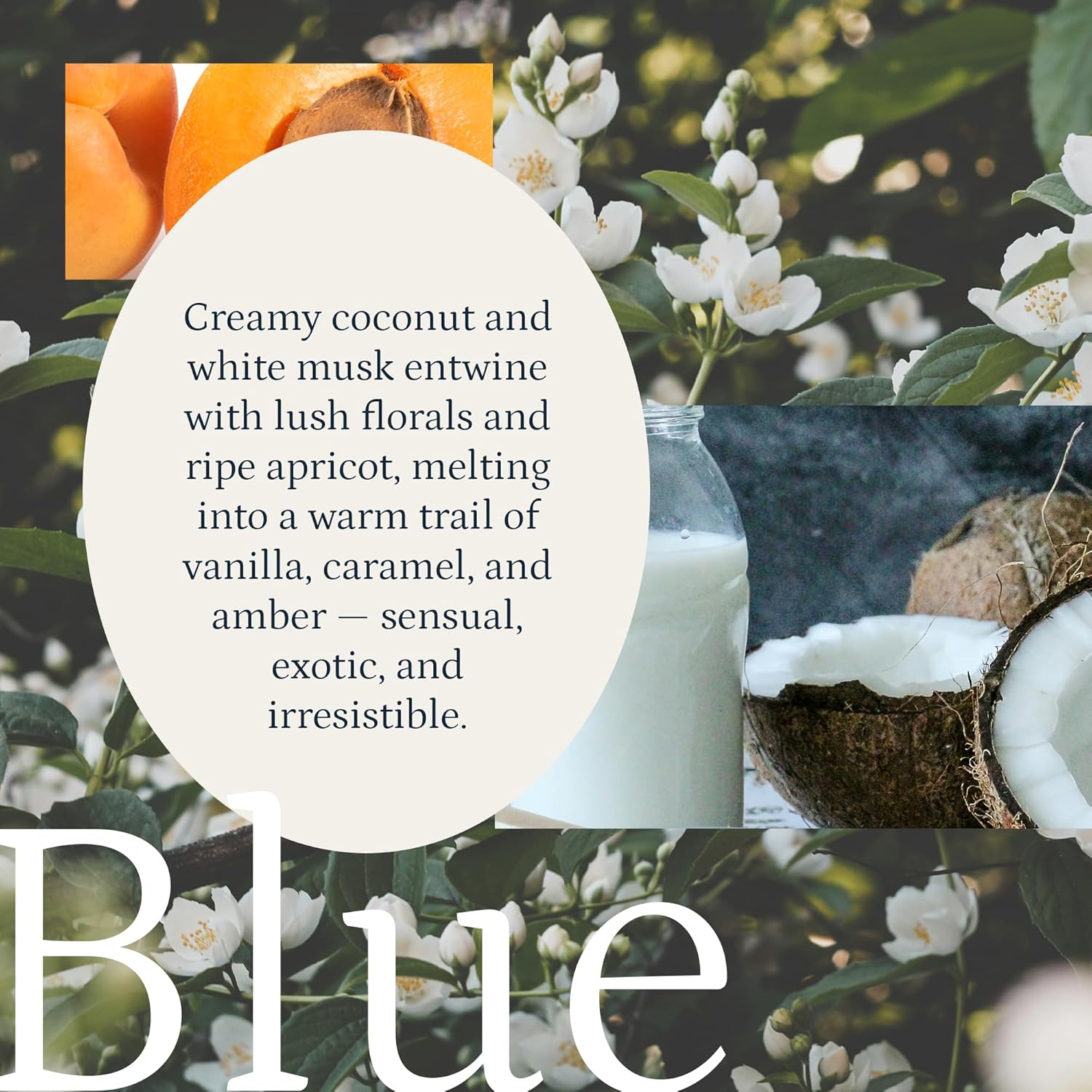 PuroSentido Blue Aroma Oil - Luxury Essential Fragrance Oil for Diffusers | 10 ml Apricot, Coconut Milk & Vanilla Scent