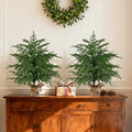 2 Pack 2FT Artificial Norfolk Pine Tree with Pot - UV Protection Faux Tree Fake Plants with PE Branch for Indoor Outdoor Home Front Porch Christmas Decor