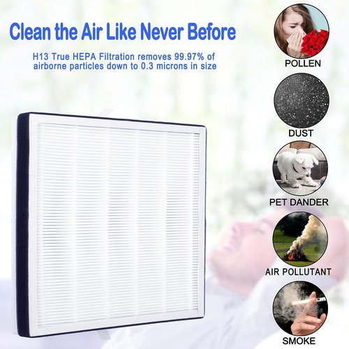 Flintar 2-Pack of Premium H13 Grade Replacement Filter Set, Compatible with RENPHO Air Purifier RP-AP001, RP-AP001S, and RP-AP002, Part # RP-AP001