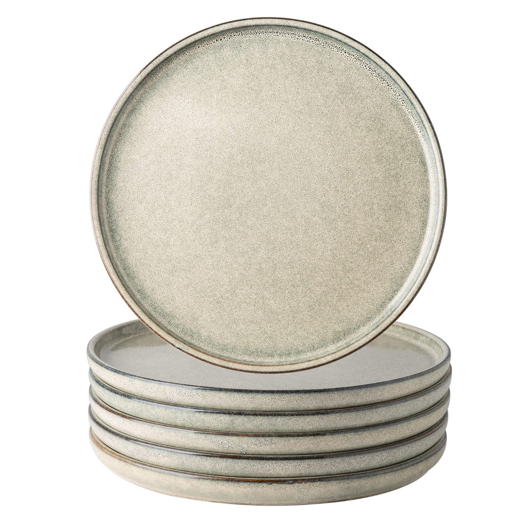 AmorArc Dinner Plates Set of 6, 10.5 Inch Reactive Glaze Ceramic Plates Set, Microwave, Dishwasher Safe, Scratch Resistant, Modern Large Dinnerware Dishes Set Kitchen Stoneware Plates