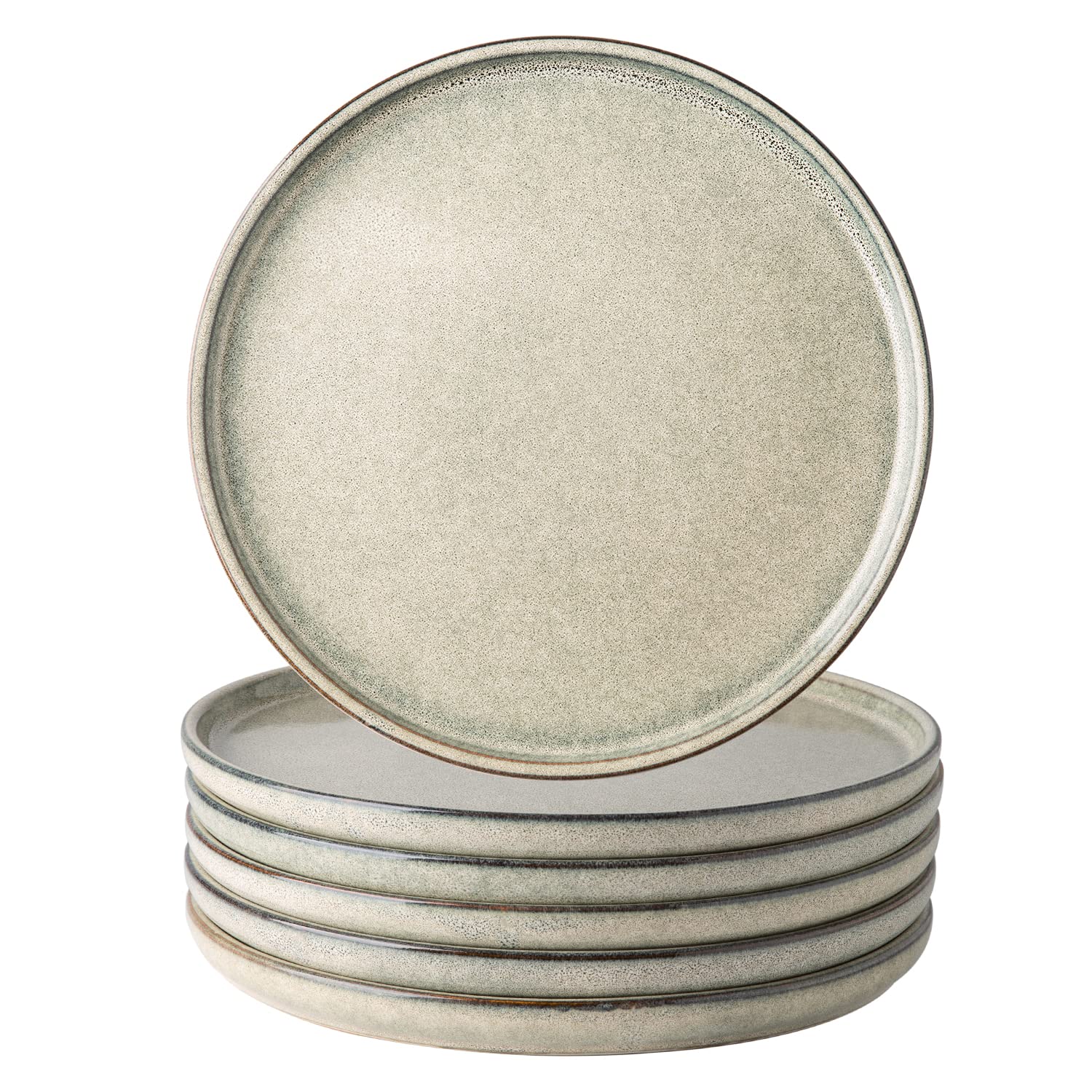 AmorArc Dinner Plates Set of 6, 10.5 Inch Reactive Glaze Ceramic Plates Set, Microwave, Dishwasher Safe, Scratch Resistant, Modern Large Dinnerware Dishes Set Kitchen Stoneware Plates