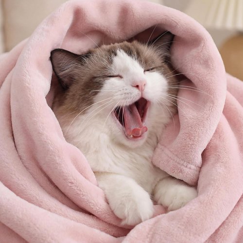 Bedsure GentleSoft Throw Blanket - Cozy Pink Fleece for Home Decor | 50x60 Inches, 300GSM