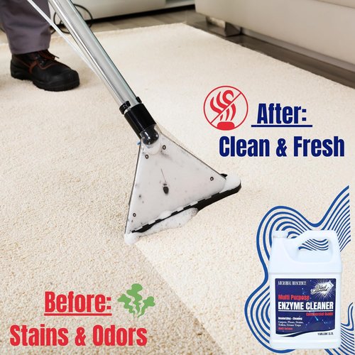 Enzyme Cleaner by Commercial | Multi-Purpose Odor Eliminator for Pet & Human Stains | 1 Gallon