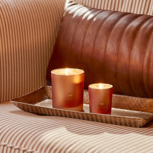 Thymes Scented Candles for Home Decor - Luxury Home Fragrance Gifts for Women & Men - Fall Candles with Creamy Pumpkin, Nutmeg, & Cinnamon - Burnt Orange (Pumpkin Laurel, 6.5 oz)