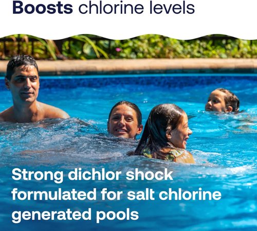 HTH 52047 Swimming Pool Care Salt Shock - Stabilized Chlorinator | Treats 10,000 Gallons, 5x12oz Packets