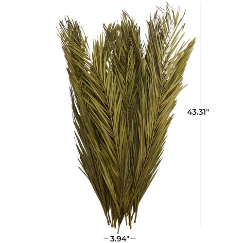 Deco 79 Dried Plant Palm Leaf Home Decor Natural Foliage Natural Dried Foliage with Feather Inspired Stems, Foliage for Decoration 4" x 1" x 43", Green