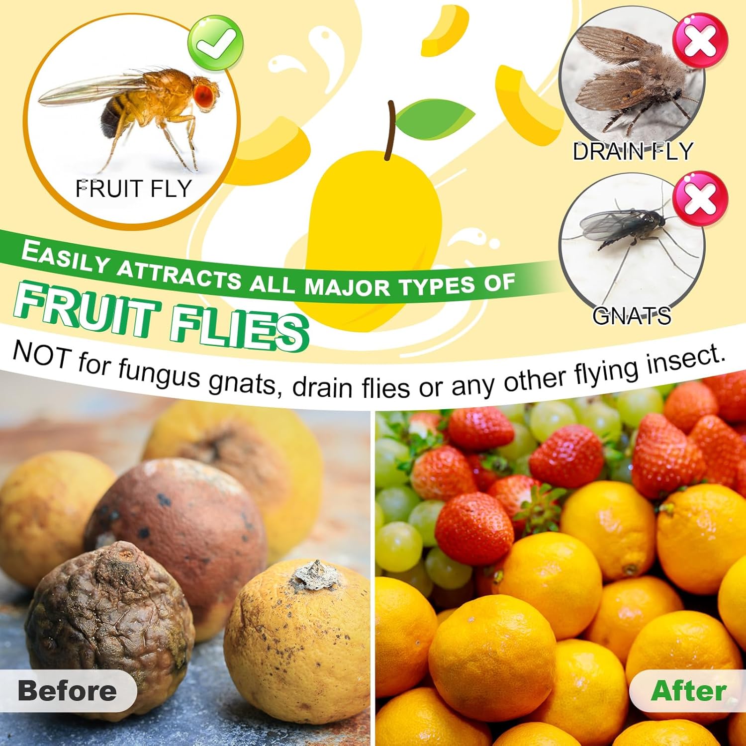 Qualirey Fruit Fly Trap Refill Liquid - Non-Toxic 0.68oz Bottles for Safe Indoor Use | 6 Pack