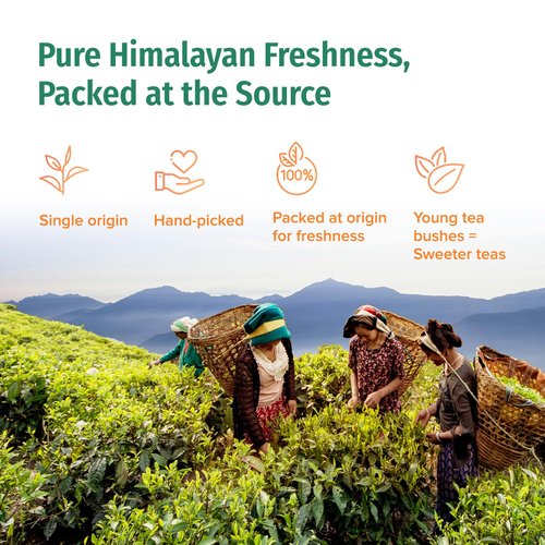 NEPAL TEA Organic Chai Tea Bags from the Himalayas, Chai Spice Blend - 15 Pyramid Tea Bags, Single Origin Chai Spice Tea - Black Tea Bags, Loose Leaf Tea Inside (Nepali Breakfast), 6 Pack