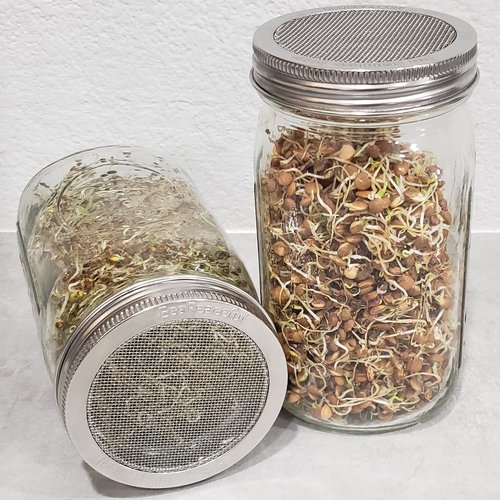 2 Pack ONE-PIECE 316 Stainless Steel One-Piece Sprouting Lids for Regular Mouth Mason Jar Ball Kerr - Strainer lids - Rust-Proof, BPA-free