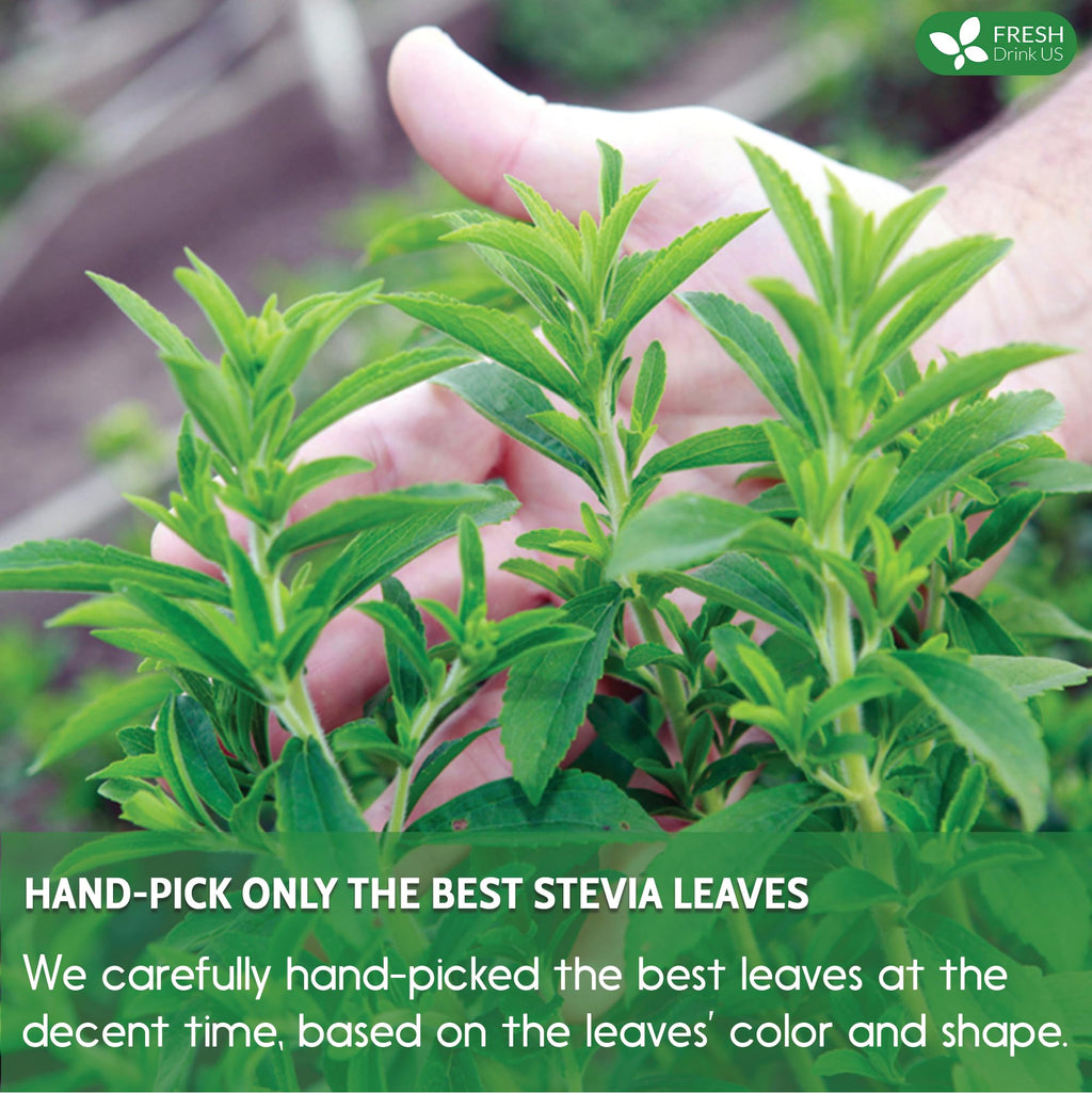 FreshDrinkUS, Premium 2.1oz Natural Stevia Leaves, 100% Pure Stevia Dried Leaves, Zero Calorie Sweetener, No Additives, No Caffeine, Vegan