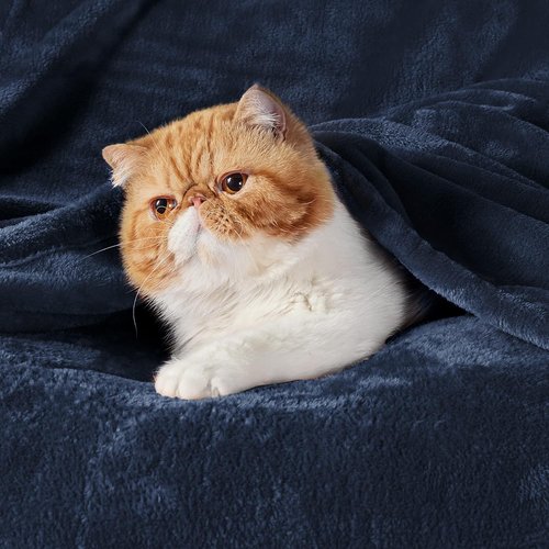 Bedsure GentleSoft Fleece Blanket - Cozy Navy Blue California King Size, 102x96 Inches for Ultimate Comfort